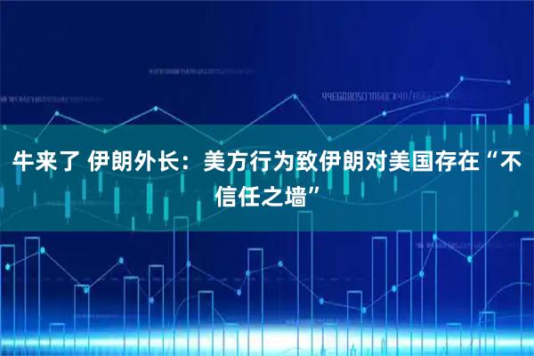 牛来了 伊朗外长：美方行为致伊朗对美国存在“不信任之墙”