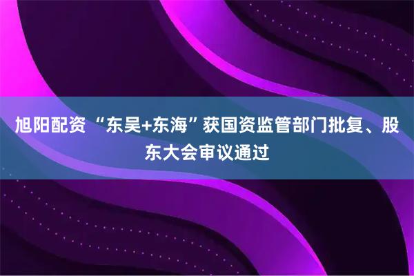旭阳配资 “东吴+东海”获国资监管部门批复、股东大会审议通过
