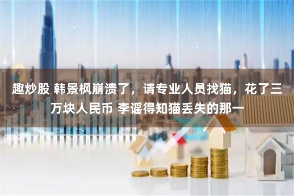 趣炒股 韩景枫崩溃了，请专业人员找猫，花了三万块人民币 李谣得知猫丢失的那一